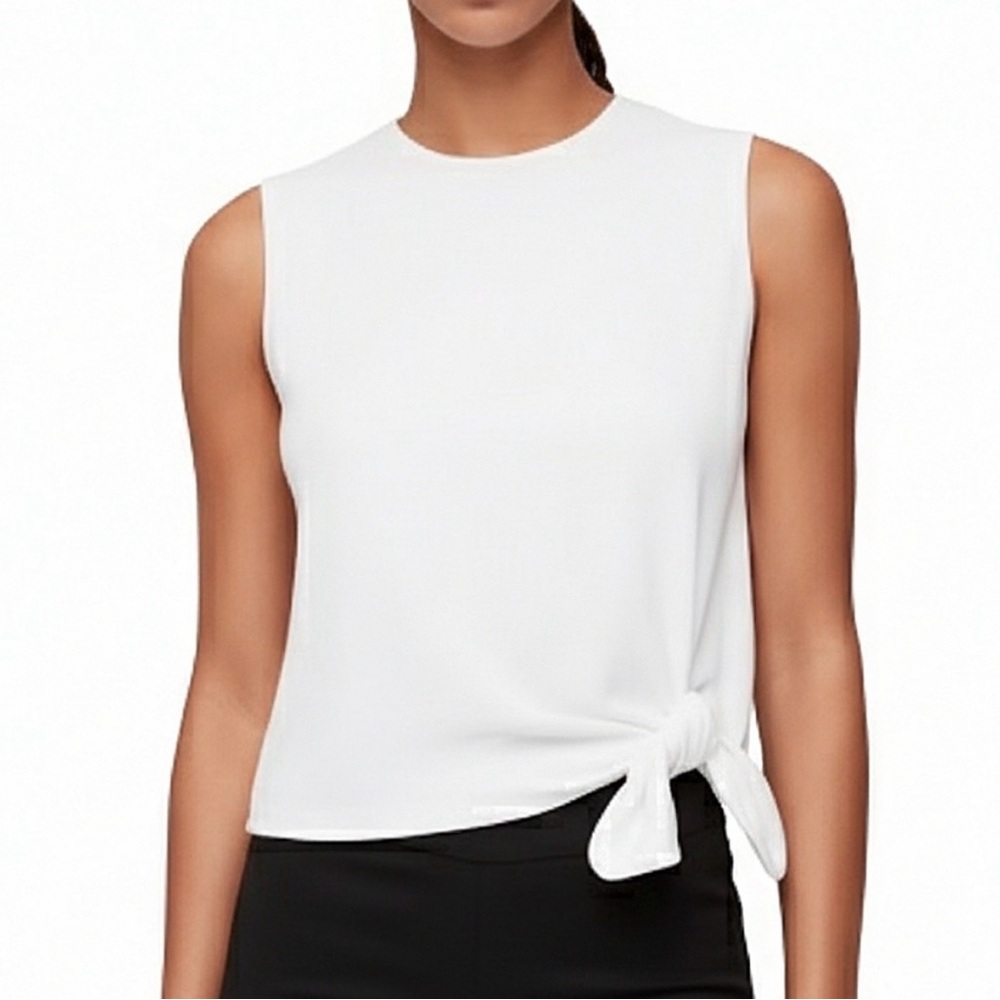 Babaton Hopkins Top
